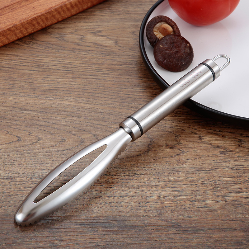 Edelstahl Fischschuppen Schabe – Kitchen Gadget Amazon Bewertung und Preis